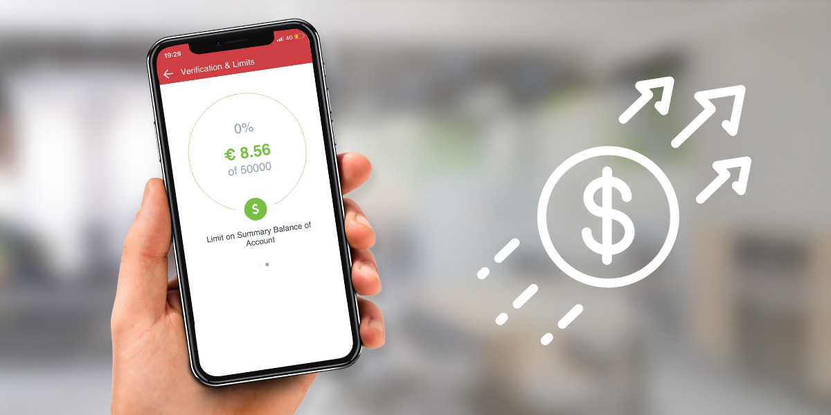 Dukascopy Multi-Currency Account Limits 